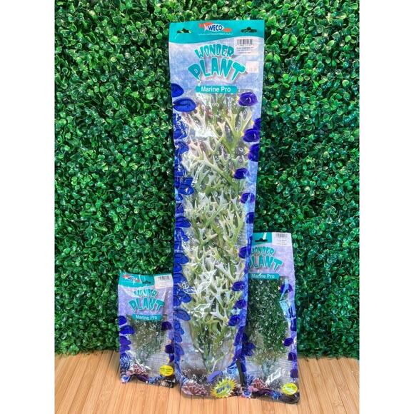Lot of 3 Weco Marine Pro Series 24" Green Giant Kelp 9" & 6" Bushy Kelp Aquarium - Picture 1 of 12